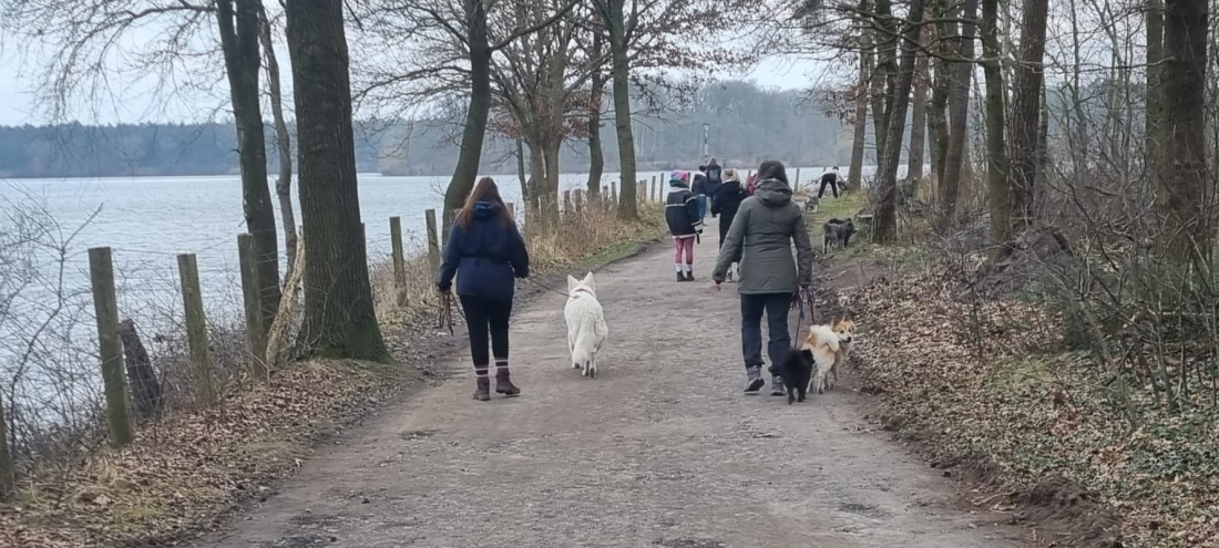 Übungsspaziergang