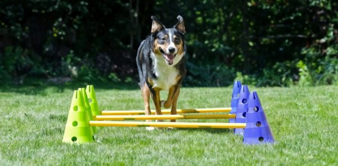 Fit & Fun
